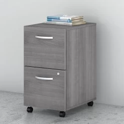 Bush Business Furniture Studio C 2 Drawer Mobile File Cabinet, Platinum Gray (SCF116PGSU)