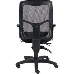 Raynor Eurotech Apollo Mesh High-Back Task Chair, Black, Adjustable Arms (MFHB9SL)