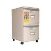 Storex 2-Drawer Vertical File Cabinet, Mobile/Pedestal, Letter/Legal, Gray, 18.25" (61301B01C)